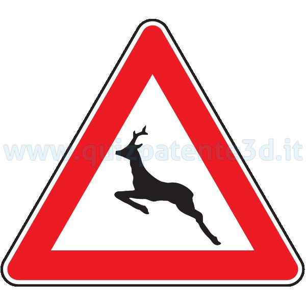 ATTENZIONE AGLI ANIMALI SELVATICI VAGANTI (LIBERI)