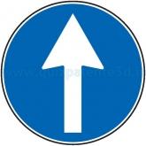 DIREZIONE OBBLIGATORIA DIRITTO